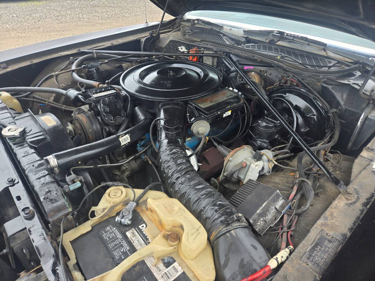 Dodge-Magnum-1978-black-19