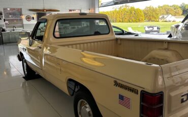 Dodge-Other-1988-Standard-Cab-Pickup-24