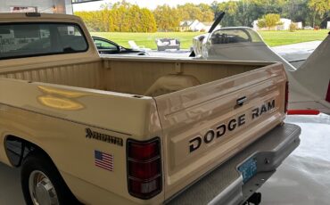 Dodge-Other-1988-Standard-Cab-Pickup-25
