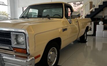 Dodge-Other-1988-Standard-Cab-Pickup-29