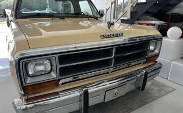 Dodge-Other-1988-Standard-Cab-Pickup-3