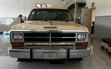 Dodge-Other-1988-Standard-Cab-Pickup-30