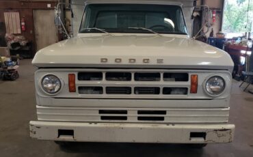 Dodge-Other-Pickups-1969-7
