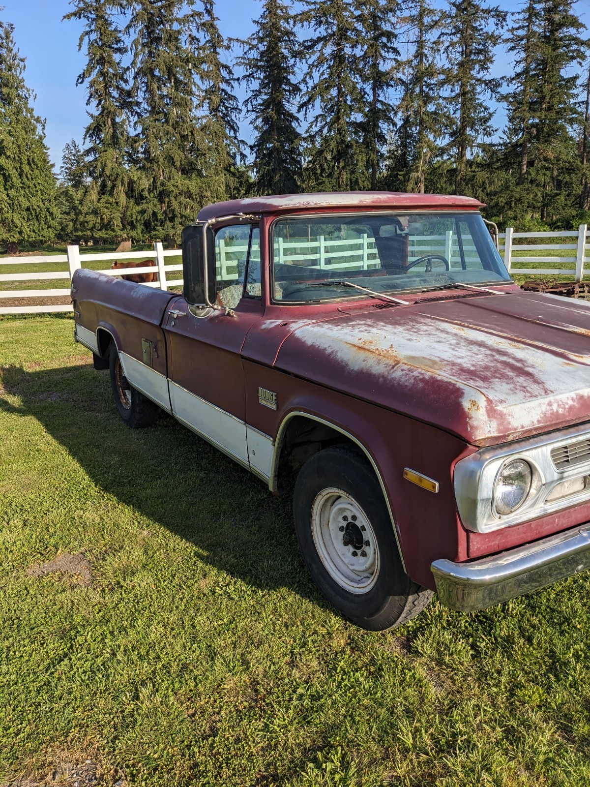 Dodge-Other-Pickups-1971-Standard-Cab-Pickup-7