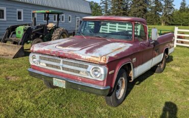 Dodge-Other-Pickups-1971-Standard-Cab-Pickup-9