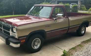 Dodge-Other-Pickups-1992-Standard-Cab-Pickup-1