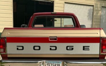 Dodge-Other-Pickups-1992-Standard-Cab-Pickup-12