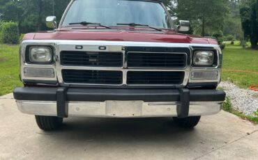 Dodge-Other-Pickups-1992-Standard-Cab-Pickup-14