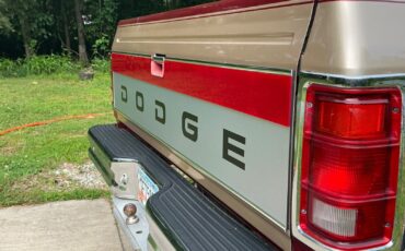 Dodge-Other-Pickups-1992-Standard-Cab-Pickup-16
