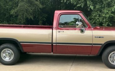 Dodge-Other-Pickups-1992-Standard-Cab-Pickup-17