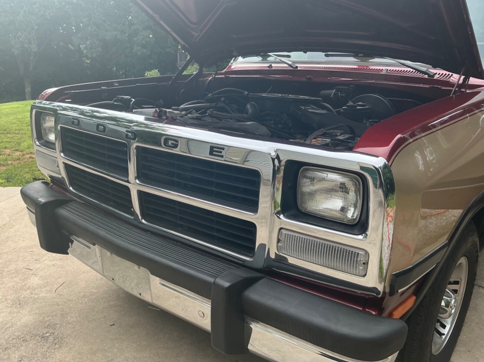 Dodge-Other-Pickups-1992-Standard-Cab-Pickup-18