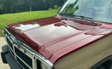 Dodge-Other-Pickups-1992-Standard-Cab-Pickup-22