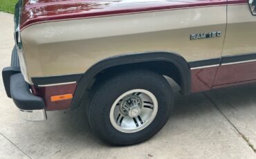 Dodge-Other-Pickups-1992-Standard-Cab-Pickup-29
