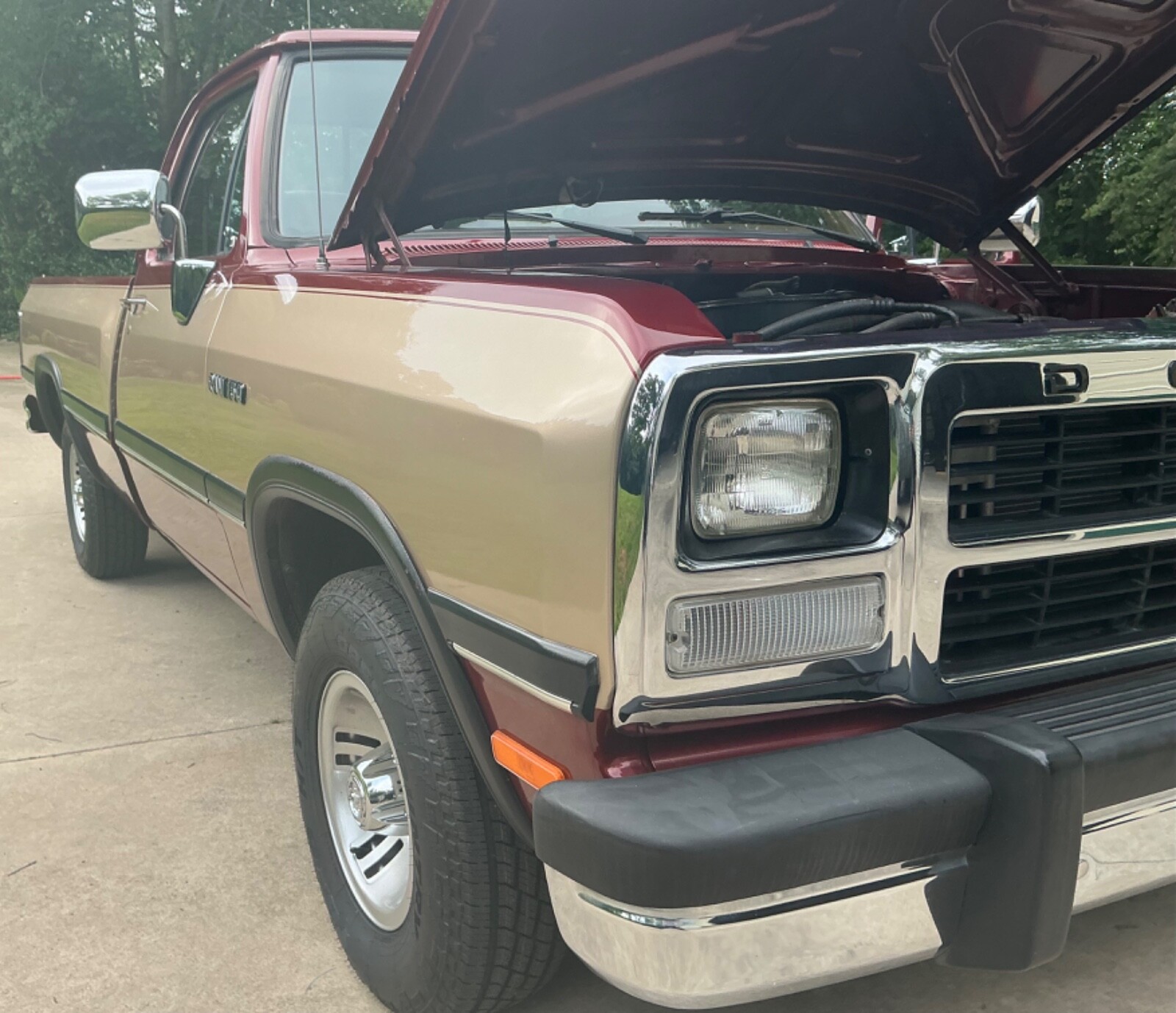 Dodge-Other-Pickups-1992-Standard-Cab-Pickup-3