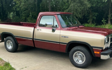 Dodge-Other-Pickups-1992-Standard-Cab-Pickup
