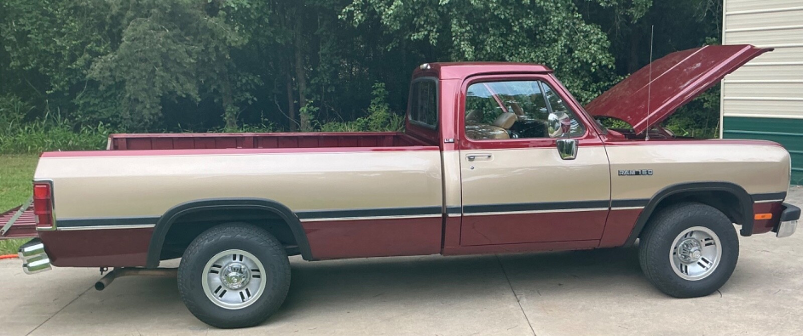 Dodge-Other-Pickups-1992-Standard-Cab-Pickup-5