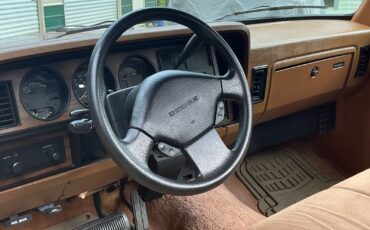 Dodge-Other-Pickups-1992-Standard-Cab-Pickup-8