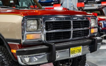 Dodge-Other-Pickups-1993-Pickup-Truck-13