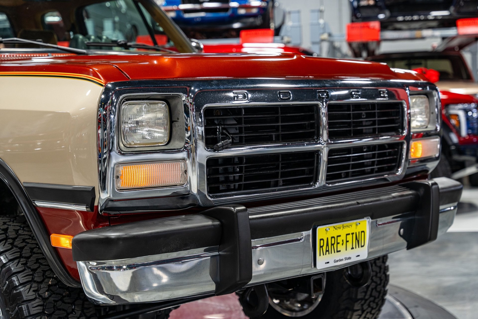 Dodge-Other-Pickups-1993-Pickup-Truck-13