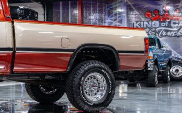 Dodge-Other-Pickups-1993-Pickup-Truck-2