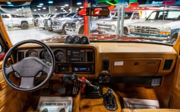 Dodge-Other-Pickups-1993-Pickup-Truck-29