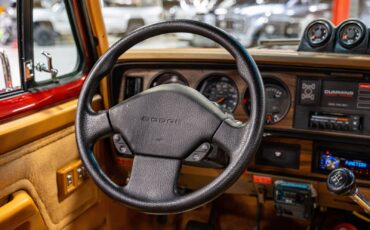 Dodge-Other-Pickups-1993-Pickup-Truck-31