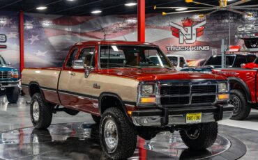 Dodge-Other-Pickups-1993-Pickup-Truck-36