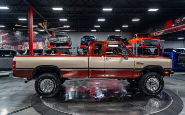 Dodge-Other-Pickups-1993-Pickup-Truck-37