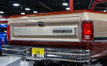 Dodge-Other-Pickups-1993-Pickup-Truck-5