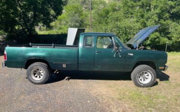 Dodge-Power-wagon-1974-green-19