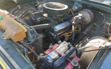 Dodge-Power-wagon-1974-green-3