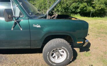 Dodge-Power-wagon-1974-green