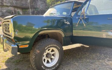 Dodge-Power-wagon-1974-green-5