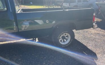 Dodge-Power-wagon-1974-green-6