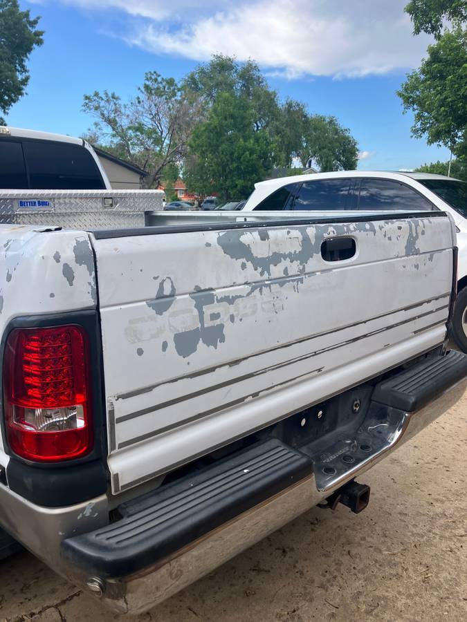 Dodge-Ram-2500-diesel-1994-white-5