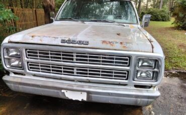 Dodge-Ram-3500-1979-1