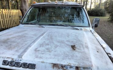Dodge-Ram-3500-1979-16
