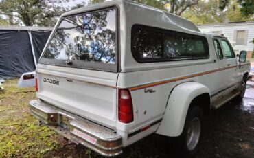 Dodge-Ram-3500-1979-3