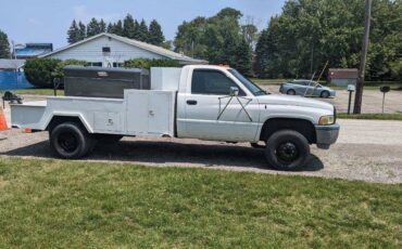 Dodge-Ram-3500-1995-white-5