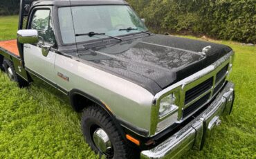 Dodge-Ram-d350-diesel-1991-black-10