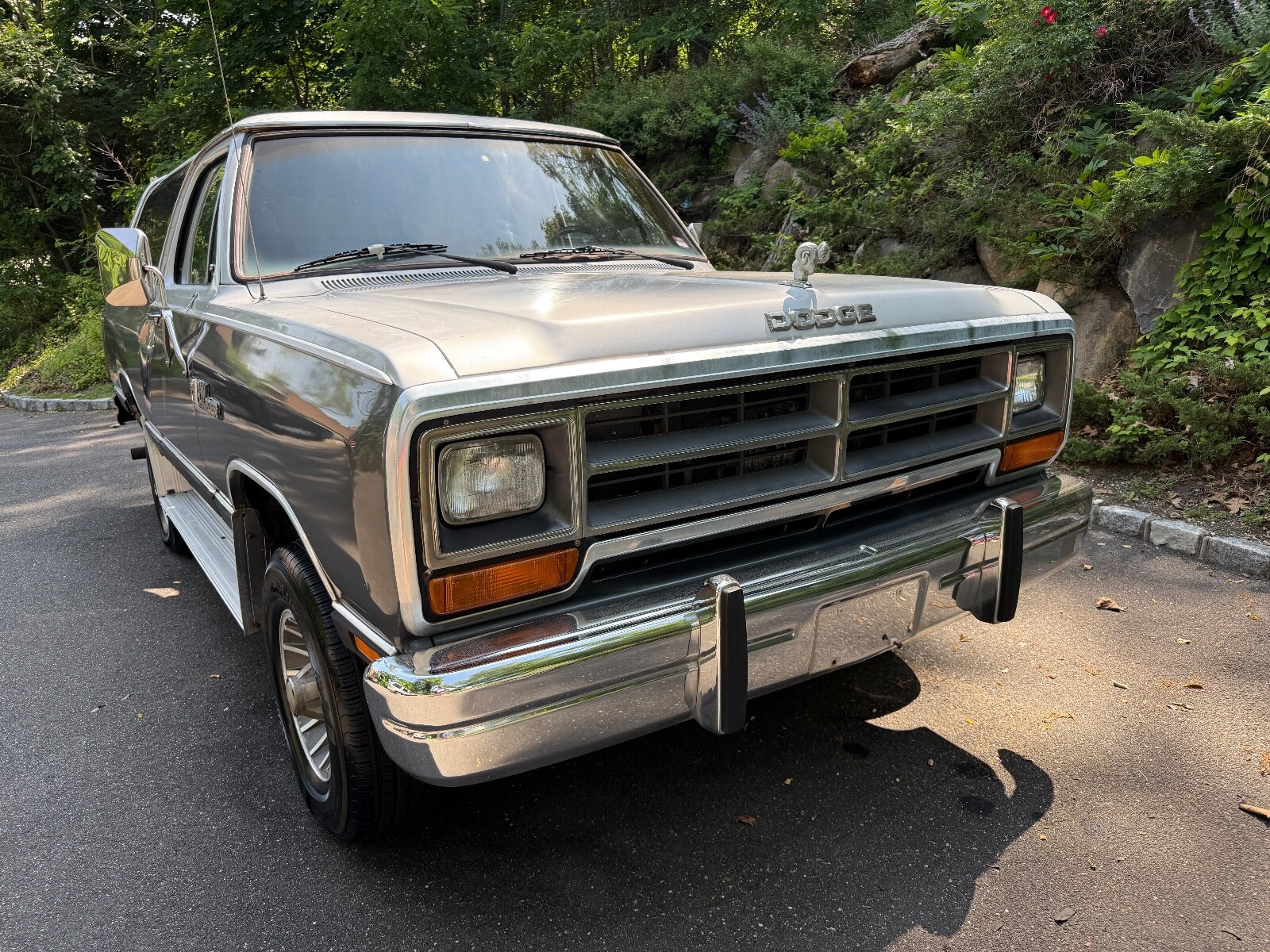 Dodge-Ramcharger-1987-SUV-2