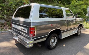 Dodge-Ramcharger-1987-SUV-6