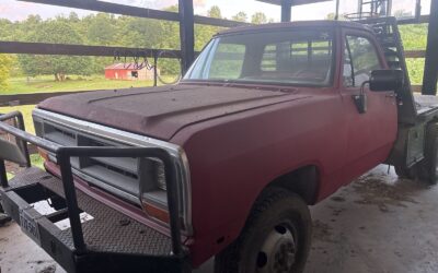 Dodge W-Series 1989