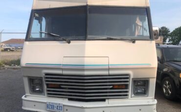 Dodge-Winnebego-1981-1