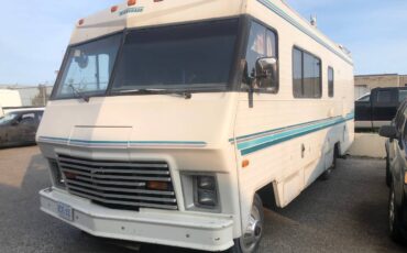 Dodge-Winnebego-1981-2