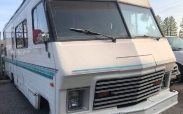 Dodge-Winnebego-1981