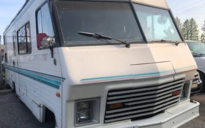 Dodge Winnebego  1981