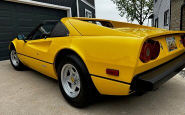 Ferrari-308-1978-11