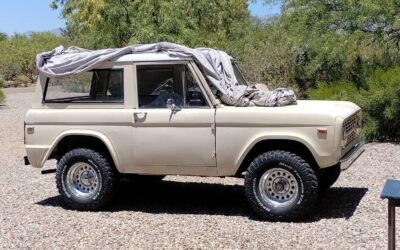 Ford   1966