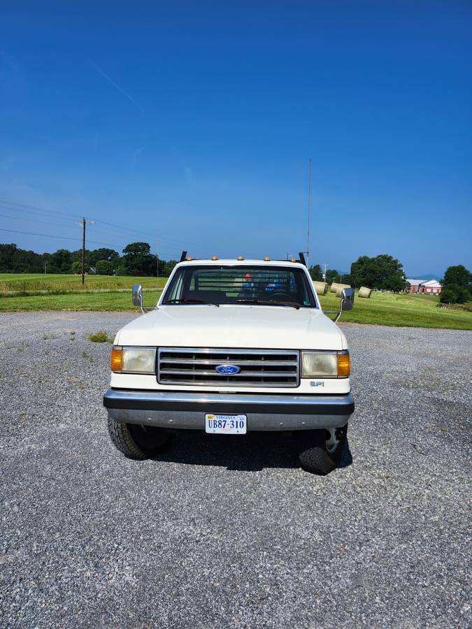 Ford   1989